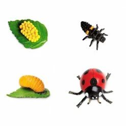 Safari Ltd SAFARI - Life Cycle Of A Ladybug