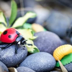 Safari Ltd SAFARI - Life Cycle Of A Ladybug