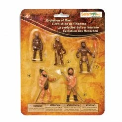 Safari Ltd SAFARI - Evolution Of Man Educational Resources