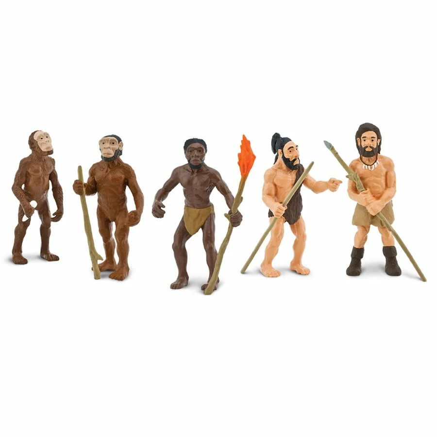 Safari Ltd SAFARI - Evolution Of Man Educational Resources