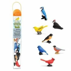 Safari Ltd Educational Resources SAFARI - Backyard Birds TOOB