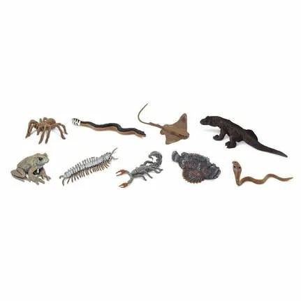 Safari Ltd SAFARI - Venomous Creatures TOOB Educational Resources