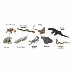 Safari Ltd SAFARI - Venomous Creatures TOOB Educational Resources