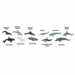 Safari Ltd Educational Resources SAFARI - Whales & Dolphins TOOB