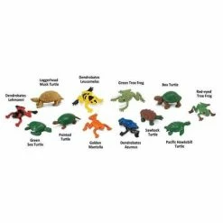 Safari Ltd SAFARI - Frogs & Turtles TOOB Educational Resources