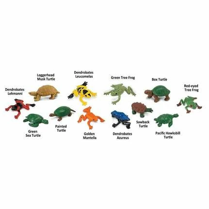 Safari Ltd SAFARI - Frogs & Turtles TOOB Educational Resources