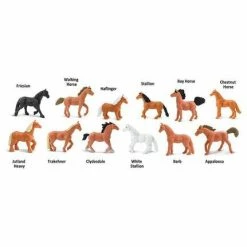 Safari Ltd Educational Resources SAFARI - Horses TOOB