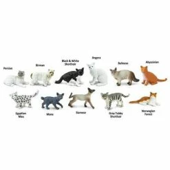 Safari Ltd SAFARI - Domestic Cats TOOB Educational Resources