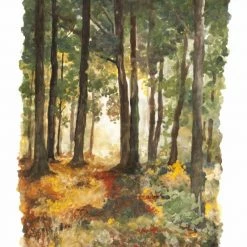 Arts & Crafts NATURAL EARTH PAINT - Children's Earth Paint - Kit DISCOVERY 1 Litre, 1 Bamboo Brush