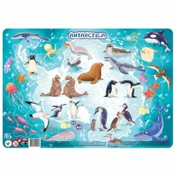DODO TOYS - Frame Puzzle - Antarctica Educational Resources