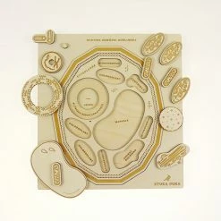 STUKA PUKA - FROM ZERO TO HERO - PLANT CELL STRUCTURE