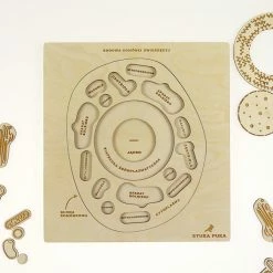 STUKA PUKA - FROM ZERO TO HERO - PLANT CELL STRUCTURE