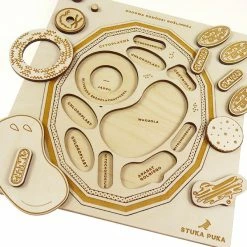 STUKA PUKA - FROM ZERO TO HERO - PLANT CELL STRUCTURE