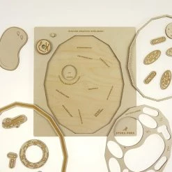 STUKA PUKA - FROM ZERO TO HERO - PLANT CELL STRUCTURE