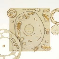 Educational Resources STUKA PUKA - FROM ZERO TO HERO - ANIMAL CELL STRUCTURE