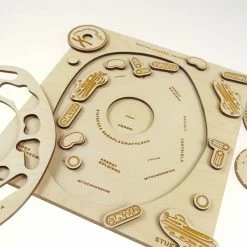 Educational Resources STUKA PUKA - FROM ZERO TO HERO - ANIMAL CELL STRUCTURE