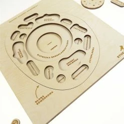 Educational Resources STUKA PUKA - FROM ZERO TO HERO - ANIMAL CELL STRUCTURE