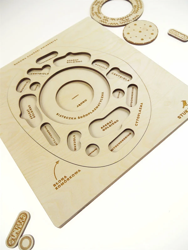 Educational Resources STUKA PUKA - FROM ZERO TO HERO - ANIMAL CELL STRUCTURE