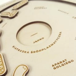 Educational Resources STUKA PUKA - FROM ZERO TO HERO - ANIMAL CELL STRUCTURE