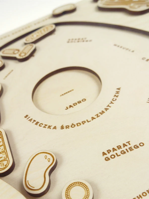 Educational Resources STUKA PUKA - FROM ZERO TO HERO - ANIMAL CELL STRUCTURE