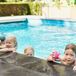 Outdoor BS Toys - Diving Animals