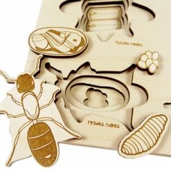 STUKA PUKA - Bug's Life Wooden Puzzle Educational Resources