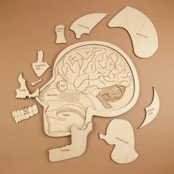 Educational Resources STUKA PUKA - Use Your Head! Wooden Puzzle