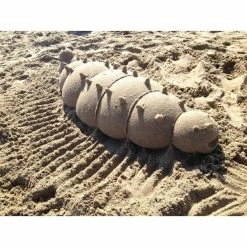 ID Selection Educational Resources Willyspheres Sandshapers