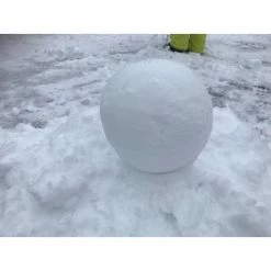 ID Selection Educational Resources Willyspheres Sandshapers